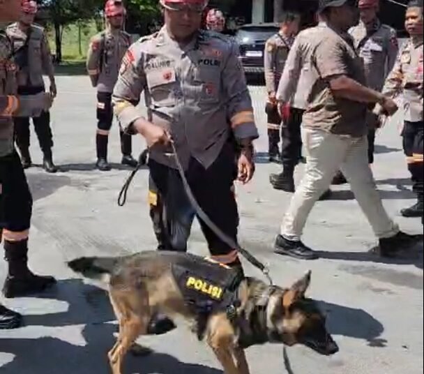 Salah satu anjing pelacak dari Tim K9 Ditpolsatwa Baharkam Polri tiba di Bandara Internasional Minangkabau (BIM) pada Rabu (3/12) siang. Foto: IST