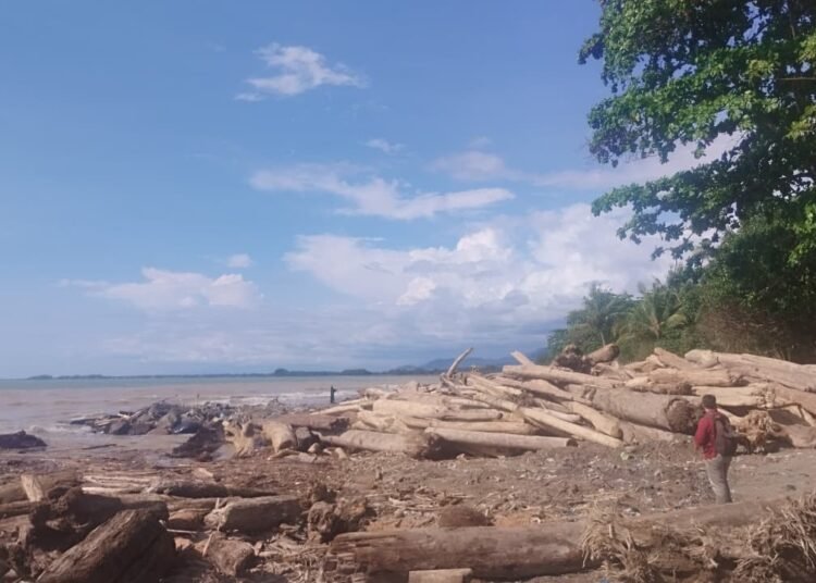 Tumpukan kayu sisa banjir memenuhi Pantai Patenggangan, Air Tawar Barat, Kecamatan Padang Utara, Kota Padang, pada Rabu (3/12). Foto: Qadri Hayatul/Kabarminang.com