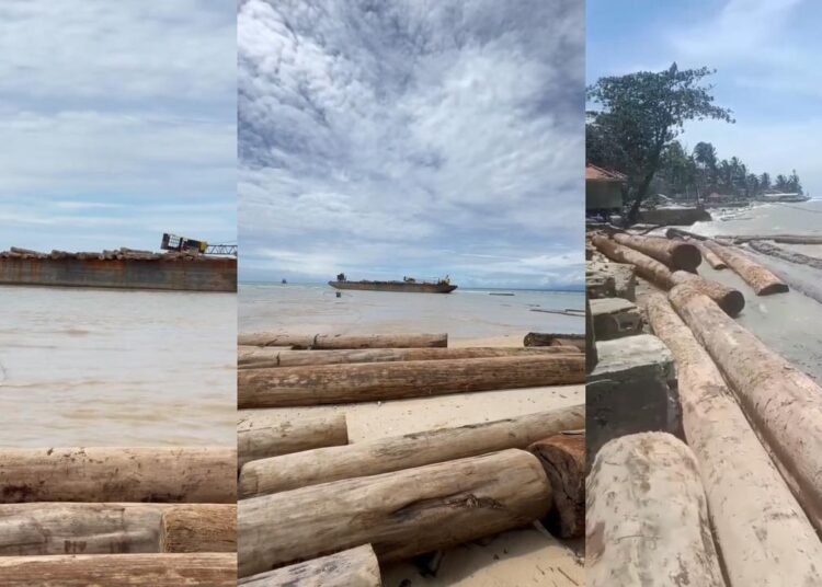 Viral sebuah kapal tongkang yang mengangkut 4.800 kubik kayu asal Sumatera Barat terdampar di Pantai Tanjung Setia, Kabupaten Pesisir Barat, Lampung.