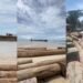 Kapal Tongkang Asal Sumbar Angkut Ribuan Batang Kayu Terdampar di Perairan Lampung