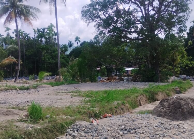 Kawasan persawahan di Kelurahan Kuranji, Kecamatan Kuranji, Kota Padang, berubah total menjadi daratan dipenuhi bebatuan dan material lumpur setelah diterjang banjir bandang. Foto: Qadri Hayatul/Kabarminang.com