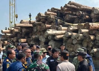 Dinas Kehutanan Sumbar Jelaskan Dua Kasus Kayu Mentawai di Lampung dan Gresik