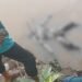 Bocah di Pesisir Selatan Temukan Mayat Mengambang di Sungai