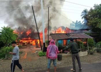 Kebakaran di Pasaman Barat, Api dan Asap Hitam Membubung Tinggi