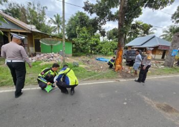 Mobil Tabrak Pohon di Payakumbuh, Satu Penumpang Tewas