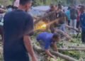Pohon Timpa 3 Orang di Padang, Korban Luka Parah, Satu Anak 5 Tahun