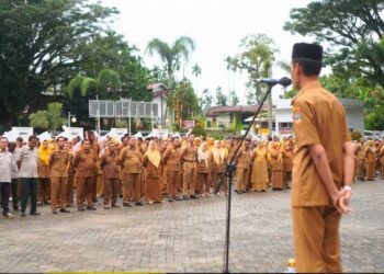 HUT ke-22 Solok Selatan, Pemkab Fokus Tingkatkan Kesejahteraan Warga