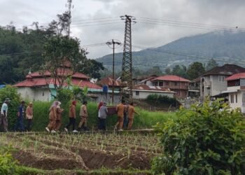 Disengat Gerombolan Tawon, Petani di Tanah Datar Tewas