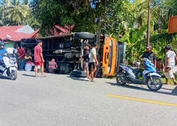 Truk Bermuatan Cangkang Rebah Kuda di Padang Pariaman