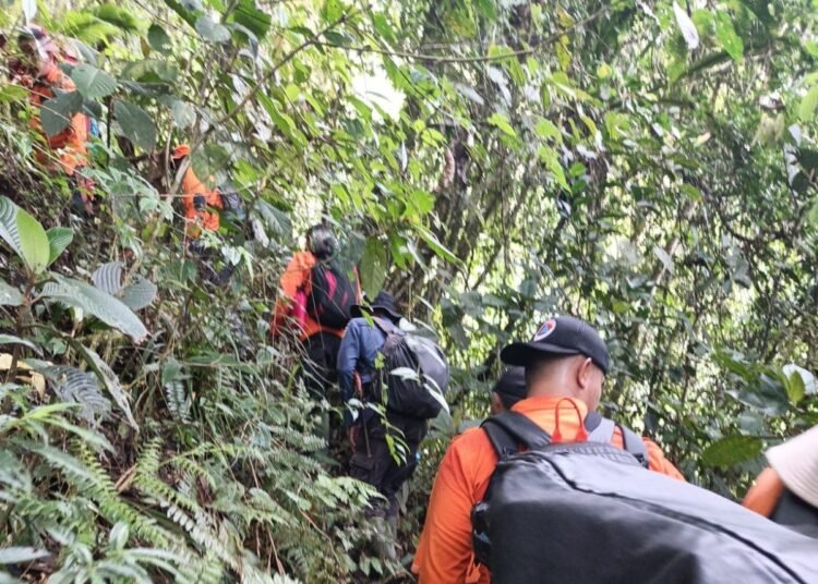 Tim gabungan mencari dua warga di Nagari Sungai Nanam Atas, Kecamatan Lembah Gumanti, Kabupaten Solok, yang dilaporkan hilang sejak pergi memikat burung pada Senin (29/12/2025). Foto: BPBD Kabupaten Solok