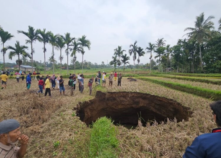 Lubang besar tiba-tiba muncul di lahan sawah warga Situjuah Batua, Limapuluh Kota pada Minggu (4/1/2026).