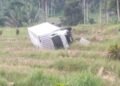 Truk Pengantar Paket Terjun ke Sawah di Pasaman