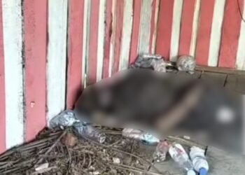 Sesosok Mayat Laki-Laki Ditemukan Membusuk di Dharmasraya