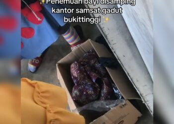 Video: Seorang Bayi Perempuan Ditemukan dalam Kardus di Agam