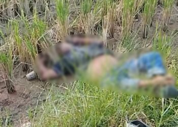 Video: Kecelakaan di Pesisir Selatan, Pengendara Motor Tergeletak di Sawah