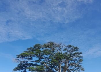 Prakiraan Cuaca Sumbar 22–24 Januari 2026: Cerah Berawan hingga Berawan