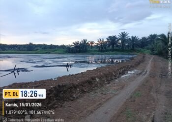 Sungai Batang Piruko Menghitam Diduga Tercemar Limbah, Izin PT DL di Dharmasraya Terancam Dicabut