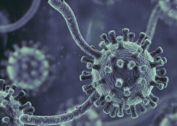 Cegah Virus Nipah, Kemenkes Imbau Masyarakat Tak Konsumsi Buah Bekas Gigitan Kelelawar