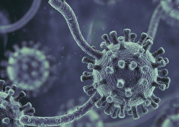 Ilustrasi virus. Foto: Ilustrasi AI