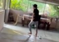 Viral! Detik-Detik Seorang Pria Hadapi Ular King Kobra