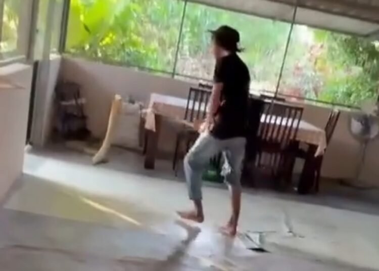 Aksi seorang pria menghadapi ular king kobra. Foto: Tangkapan layar media sosial
