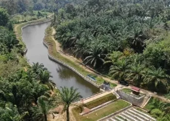 Nagari Sungai Duo Dharmasraya Raih Predikat Desa Terbaik Nasional, Bupati Annisa Terima Penghargaan Pembina Desa Terbaik