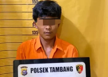 Modus Numpang Cas HP, Pria Beristri Diduga Lakukan Kekerasan Seksual terhadap Remaja