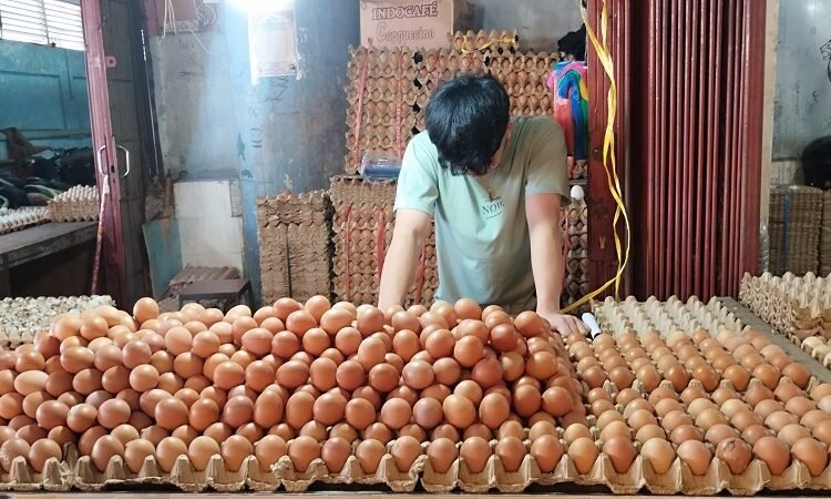 Pedagang telur di di Pasar Raya Padang menunggu pembeli pada Jumat (20/2/2026). Foto: Qadri Hayatul