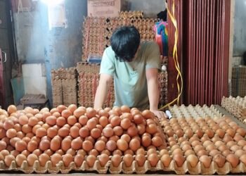 Harga Telur dan Minyak Goreng di Pasar Raya Padang Stabil