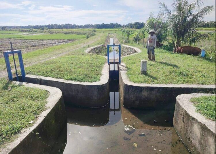 Irigasi Anai II yang membentang di kawasan Kecamatan Pariaman Selatan, Kota Pariaman, mulai mengaliri sawah-sawah warga pada awal tahun 2026.