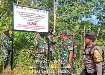 Sejumlah Lubang Bekas Tambang Emas Ilegal Ditemukan di Hutan Solok Selatan