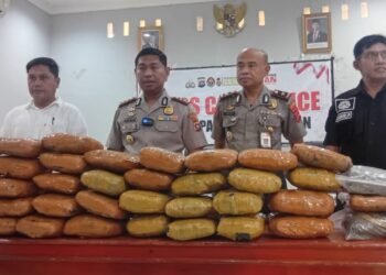 Hendak Edarkan 43 Kg Ganja di Sumbar, Pemuda 19 Tahun Terancam Hukuman Mati