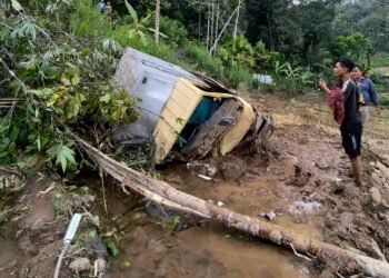 Kecelakaan di Pasaman, Truk Boks Ringsek Masuk Sawah