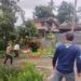 Video: Detik-Detik Beruang Masuk Permukiman Warga di Pasaman Barat