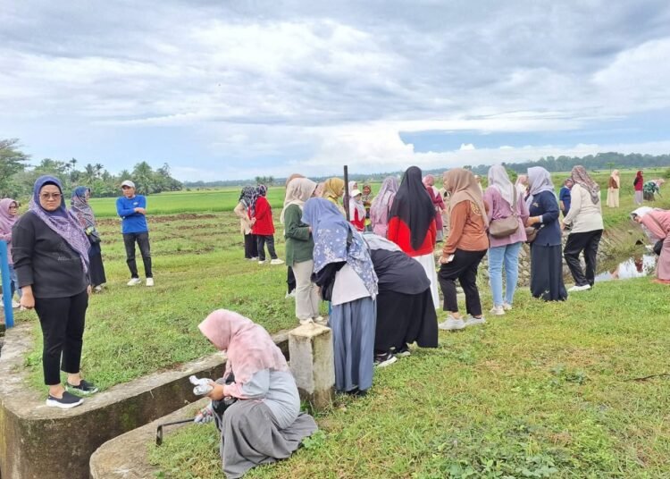 Jajaran Aparatur Sipil Negara (ASN) di lingkungan Pemerintah Kota (Pemko) Kota Pariaman menggelar gotong royong (goro) bersama masyarakat di kawasan Irigasi Anai II, Kecamatan Pariaman Selatan, Minggu (15/2/2026).