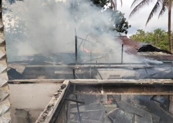 Rumah Milik Petani di Limapuluh Kota Hangus Terbakar, Penyebab Masih Diselidiki