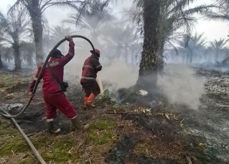 Sebanyak 11 kabupaten dan kota di provinsi Riau terdampak Karhutla pada 2026 dengan luas terdampak 1.041,74 hektare.