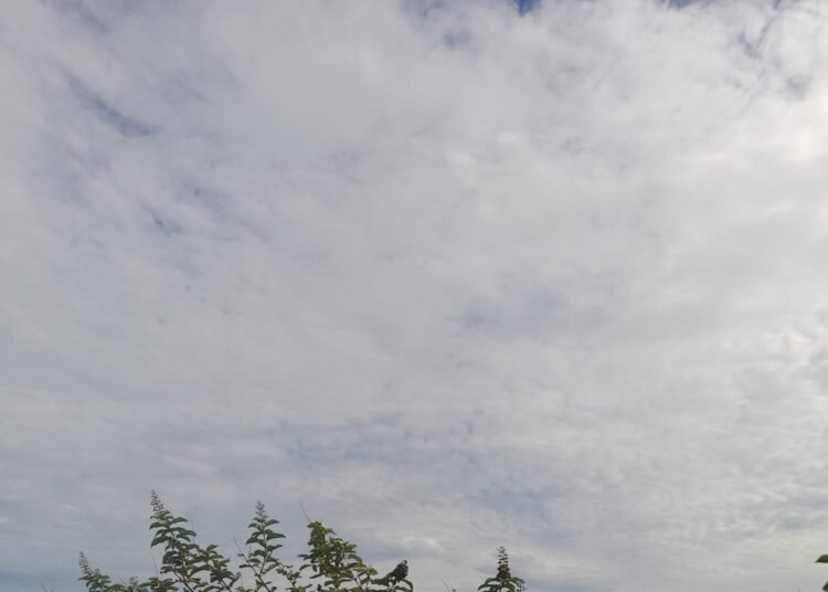 Kota Padang diperkirakan berawan hari ini, Kamis (2/4/2026). Suhu berkisar antara 19–29°C, dengan tingkat kelembapan di atas 60 persen.