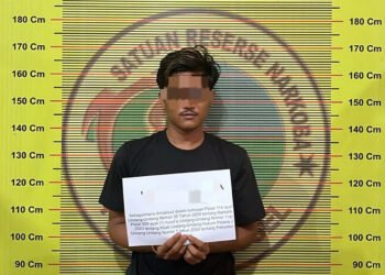 Pemuda di Pesisir Selatan Ditangkap Polisi, 48 Paket Sabu Disita