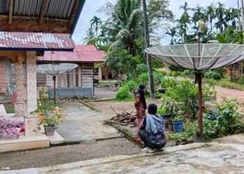 Sawah Hilang, Bantuan Terhenti, Derita Warga Padang Pariaman Pascabanjir dan Longsor