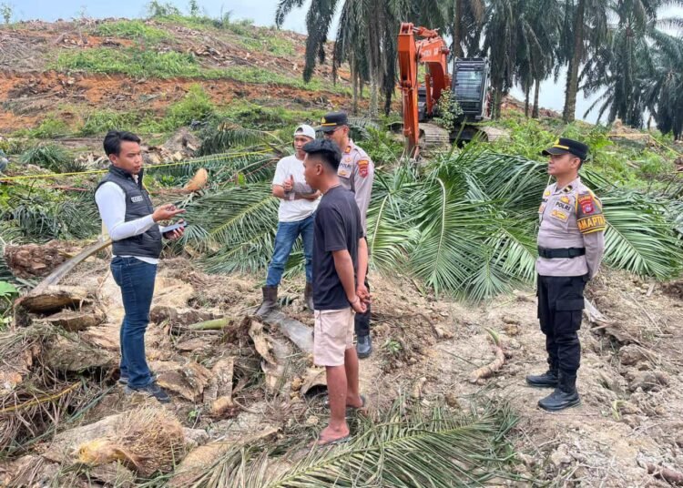 Polisi memasang garis polisi di area kebun Blok C3 PT Bina Pratama Sakato Jaya di Jorong Sibubuik, Nagari Gunung Selasih, Kecamatan Pulau Punjung, Dharmasraya, pada Rabu (25/2/2026) siang tempat seorang perempuan tewas tertimpa pohon sawit. Foto: Polres Dharmasraya