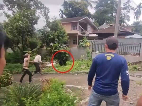 Seekor beruang masuk ke permukiman warga di Koto Panjang, Nagari Sinuruik, Kecamatan Talamau, Pasaman Barat, Minggu (15/2/2026).