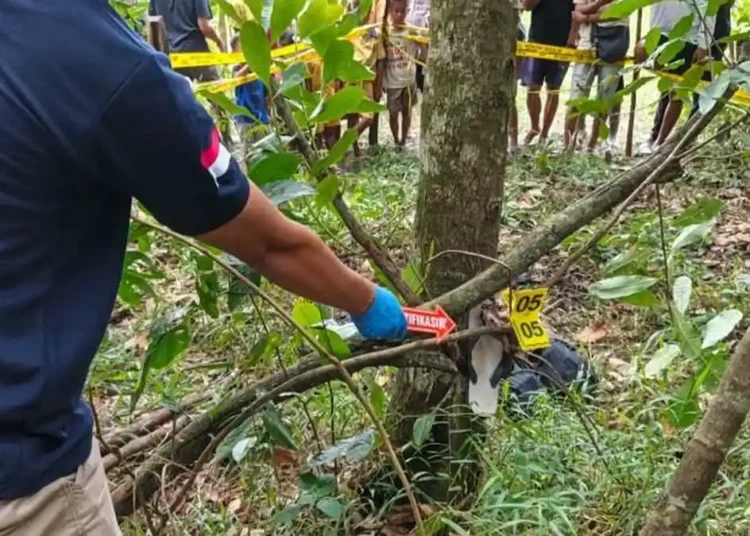 Polisi melakukan olah TKP penemuan kerangka manusia di Jalur I Dusun Rokal, Kampung Gunung Agung, Kecamatan Terusan Nunyai, Kabupaten Lampung Tengah. Foto: Dok. Polres Lampung Tengah