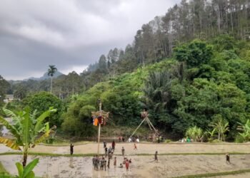Panjat Pinang Semarakkan Libur Lebaran 1447 Hijriah di Pandam Gadang Limapuluh Kota