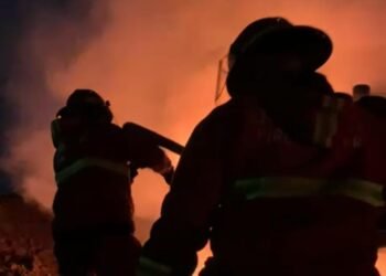 Ekskavator Terbakar di Gudang Batu Bara di Padang, Kerugian Ditaksir Rp1,5 Miliar