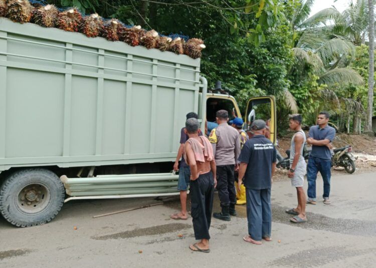Kecelakaan maut terjadi di Jalan Lintas Lama, Jorong Padang Gemuruh, Nagari Sialang Gaung, Kecamatan Koto Baru, Kabupaten Dharmasraya pada Rabu (4/3) sekitar pukul 11.30 WIB.