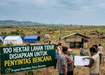 100 Hektare Lahan Tidur Disiapkan untuk Penyintas Bencana di Padang Pariaman