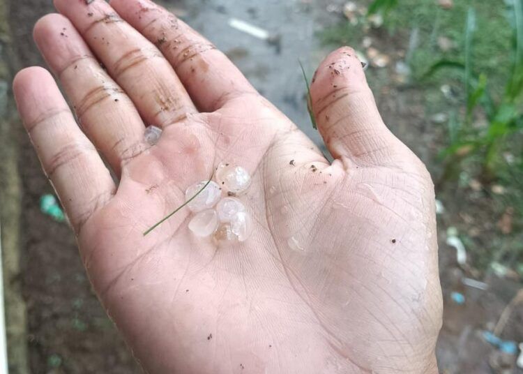 Fenomena hujan es terjadi di Kampung Maringging, Jorong Bunga Tanjung, Nagari Malampah, Kecamatan Tigo Nagari, Kabupaten Pasaman, pada Senin (16/3/2026)