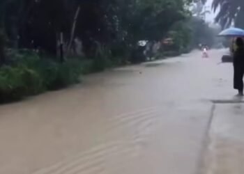 Enam Jorong di Dharmasraya Dikepung Banjir, 160 Rumah Terendam