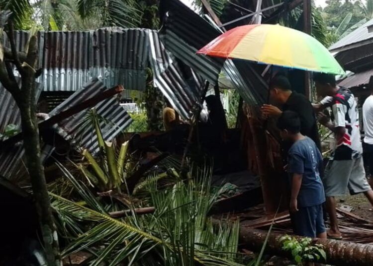 Pohon kelapa tumbang dan menimpa sebuah rumah di Jorong Rimbo Janduang, Nagari Lingkuang Aua Baru, Kecamatan Pasaman, Kabupaten Pasaman Barat, pada Selasa (17/3/2026) sekitar pukul 15.00 WIB.